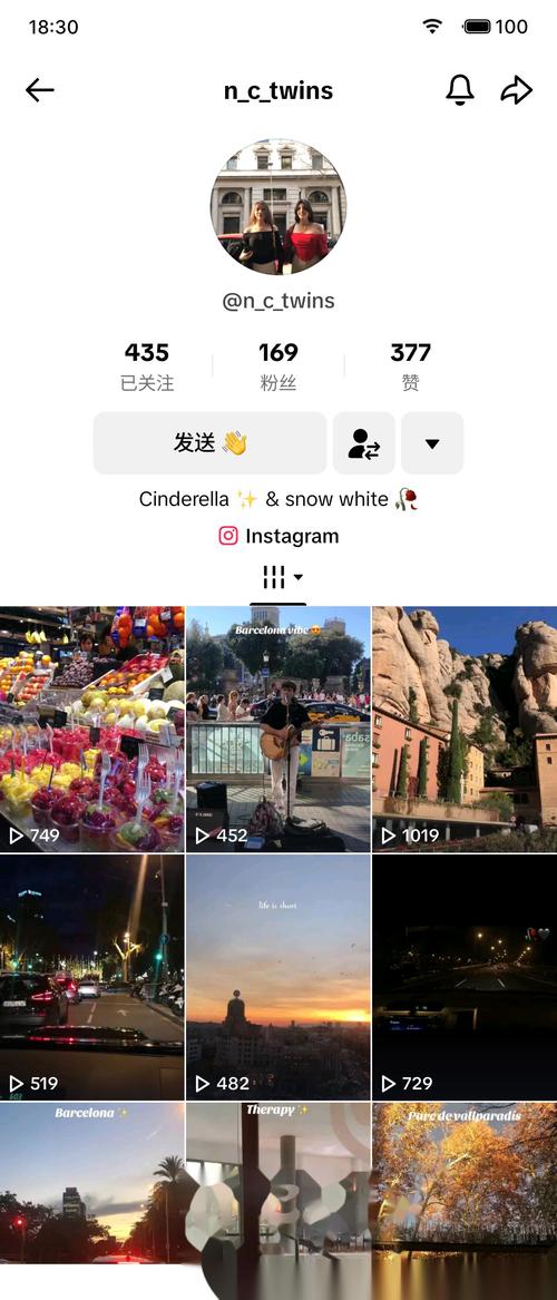 tiktok买活粉真人粉平台_tiktok加粉