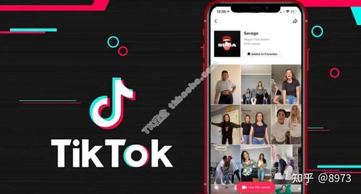 tiktok买活粉真人粉平台_tiktok加粉