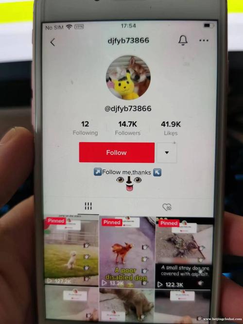 tiktok真实粉丝购买平台_tiktok万粉账号