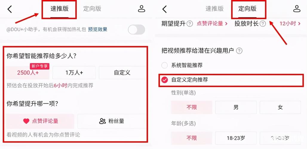 抖音业务自助下单分站的简单介绍