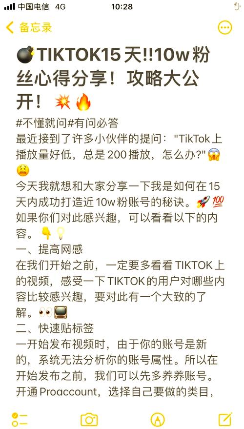 tiktok10粉丝自助下单_tiktok爆粉
