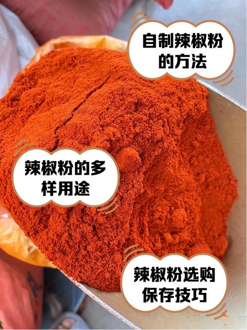 包含tiktok的辣椒粉能买吗的词条