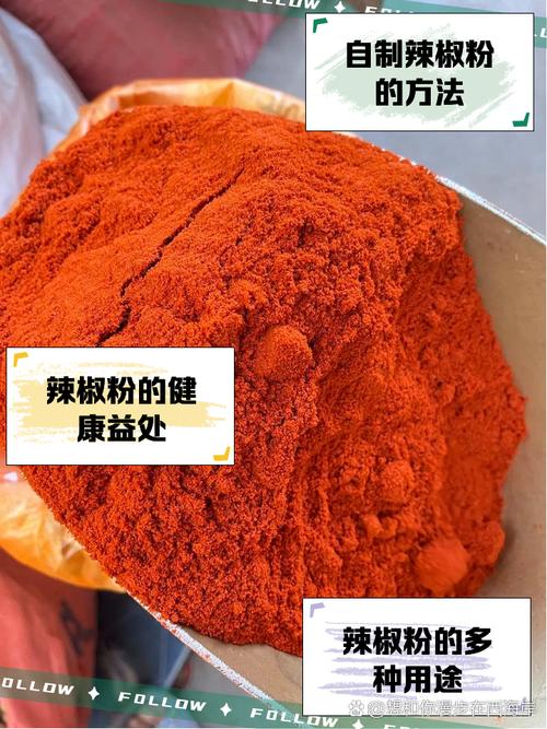 包含tiktok的辣椒粉能买吗的词条