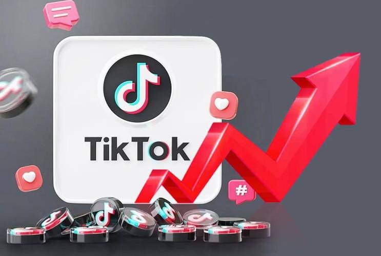 tiktok增粉在哪买_tiktok增长