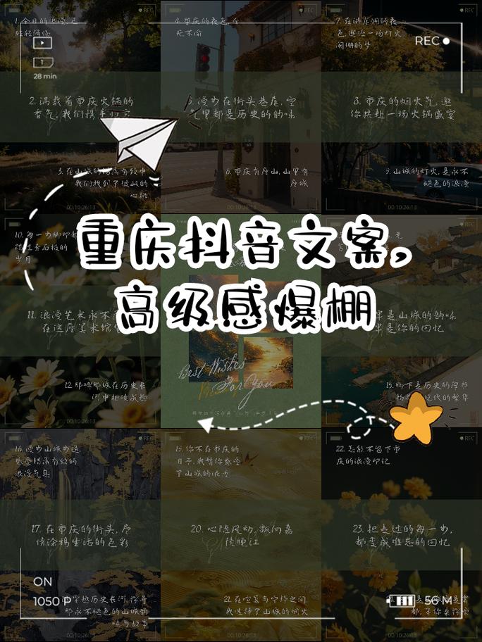 关于重庆抖音1000粉的信息