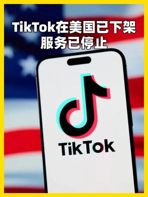 tiktok能买黑粉吗_tiktok买给美国了吗