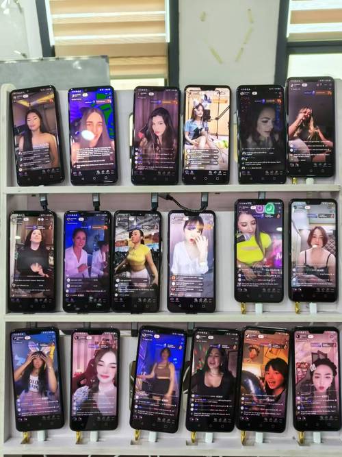 tiktok粉丝自助下单厂家_tiktok售卖